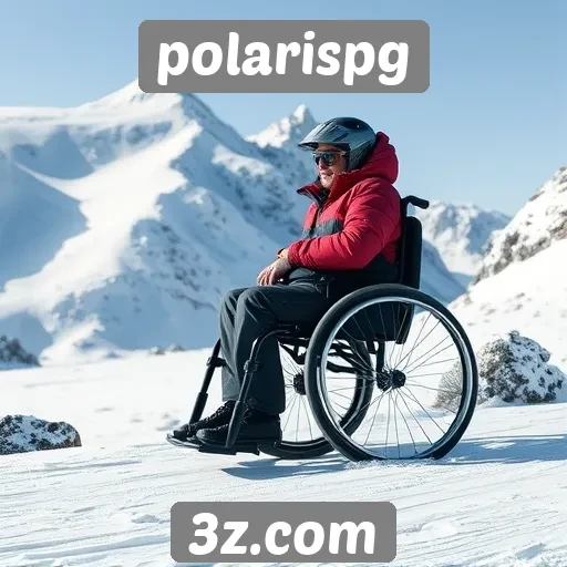 Acessibilidade e inclusão no site polarispg